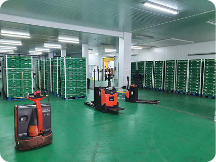 Instalaciones Canafruit 1