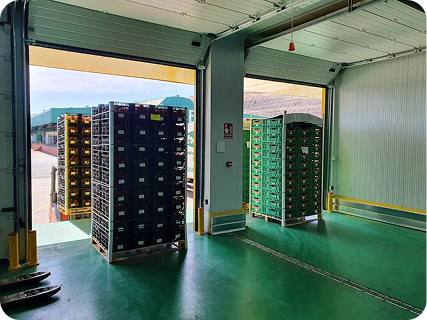 Instalaciones Canafruit 3