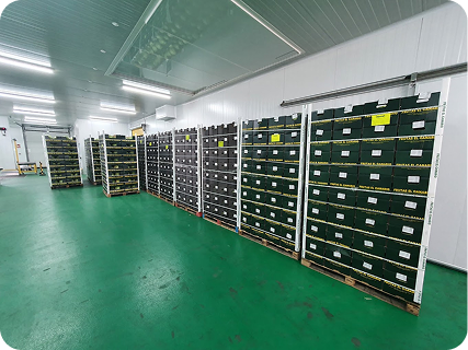 Instalaciones Canafruit 4